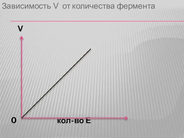 Зависимость V от количества фермента V 0 кол-во Е