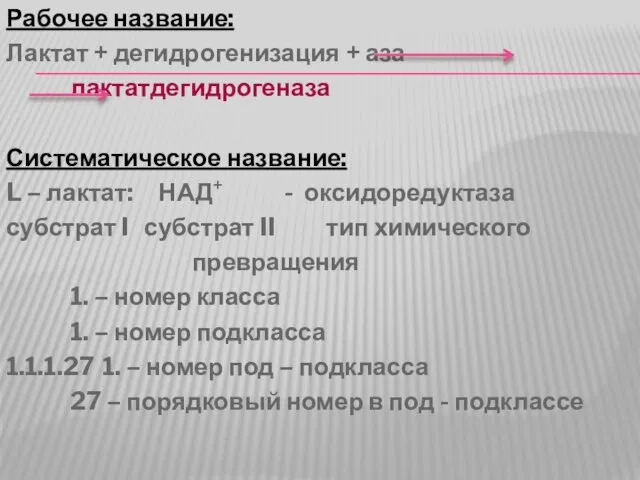 Рабочее название: Лактат + дегидрогенизация + аза лактатдегидрогеназа Систематическое название: L –