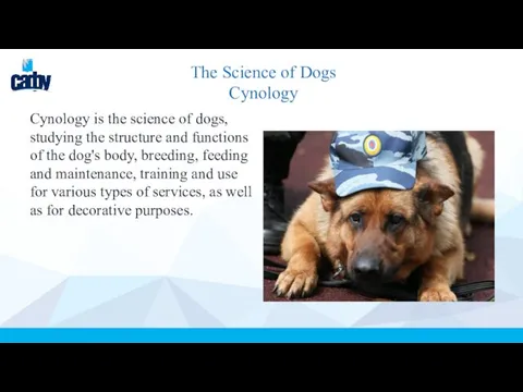 The Science of Dogs Cynology Cynology is the science of dogs, studying