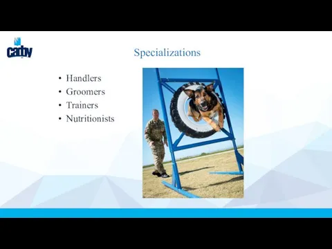 Specializations Handlers Groomers Trainers Nutritionists