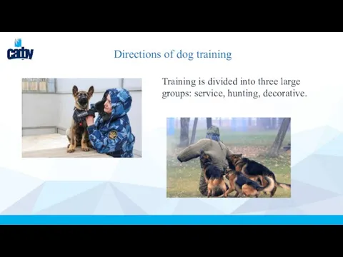 Directions of dog training Training is divided into three large groups: service, hunting, decorative.
