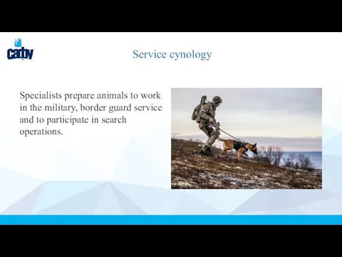 Service cynology Specialists prepare animals to work in the military, border guard