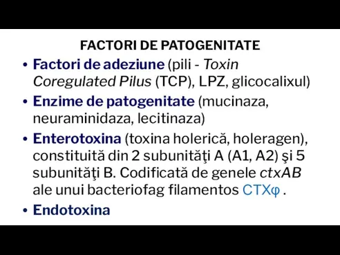 FACTORI DE PATOGENITATE Factori de adeziune (pili - Toxin Coregulated Pilus (TCP),
