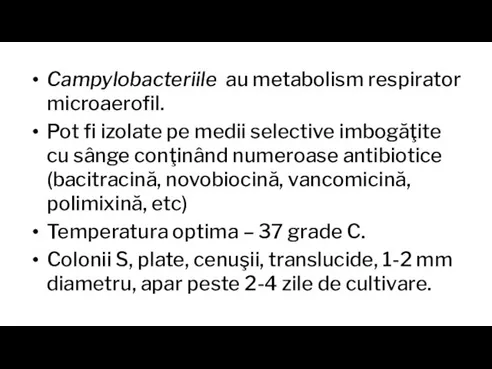 Campylobacteriile au metabolism respirator microaerofil. Pot fi izolate pe medii selective imbogăţite