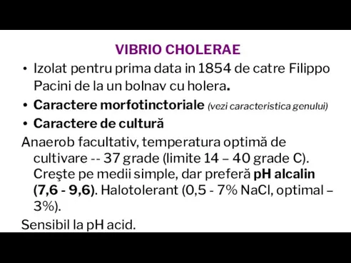 VIBRIO CHOLERAE Izolat pentru prima data in 1854 de catre Filippo Pacini