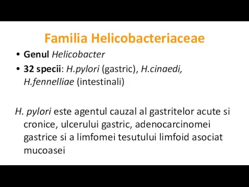 Familia Helicobacteriaceae Genul Helicobacter 32 specii: H.pylori (gastric), H.cinaedi, H.fennelliae (intestinali) H.
