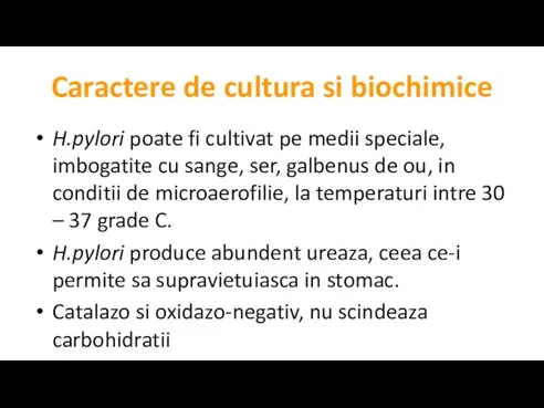 Caractere de cultura si biochimice H.pylori poate fi cultivat pe medii speciale,