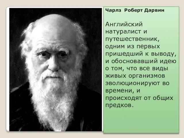 Ч дарвин годы. Доклад по теме Дарвин на английском. Цитаты Дарвина о природе.