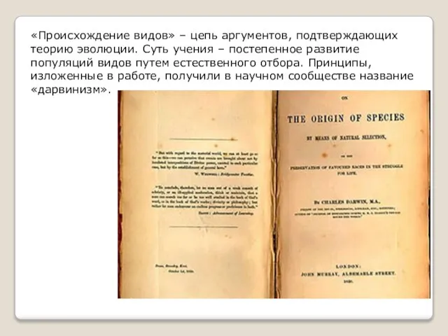 «Происхождение видов» – цепь аргументов, подтверждающих теорию эволюции. Суть учения – постепенное