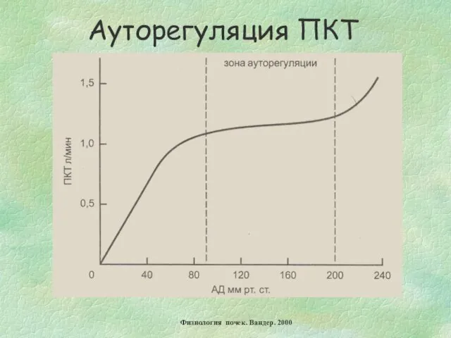 Ауторегуляция ПКТ Физиология почек. Вандер. 2000