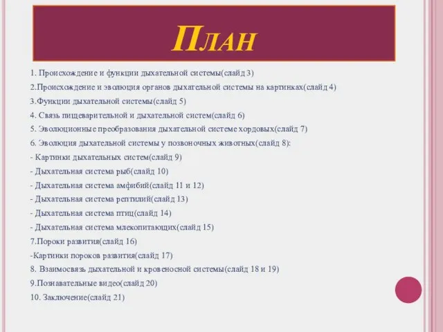 План 1. Происхождение и функции дыхательной системы(слайд 3) 2.Происхождение и эволюция органов