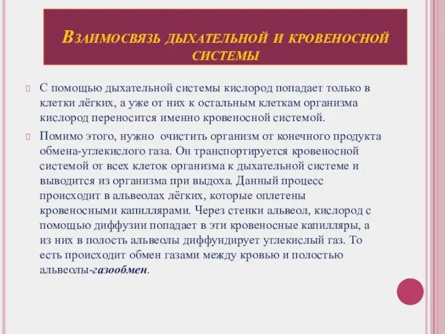 Взаимосвязь дыхательной и кровеносной системы С помощью дыхательной системы кислород попадает только