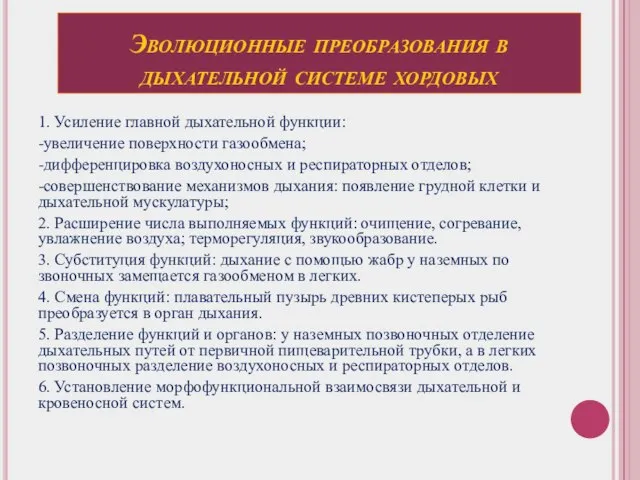 Эволюционные преобразования в дыхательной системе хордовых 1. Усиление главной дыхательной функции: -увеличение