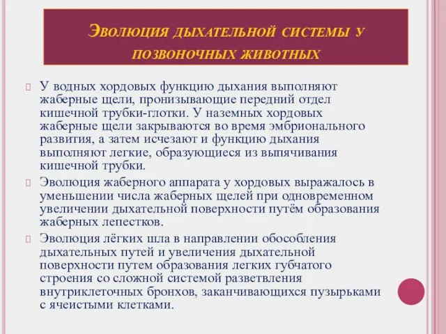 Эволюция дыхательной системы у позвоночных животных У водных хордовых функцию дыхания выполняют