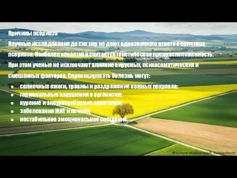 Причины псориаза Научные исследования до сих пор не дают однозначного ответа о