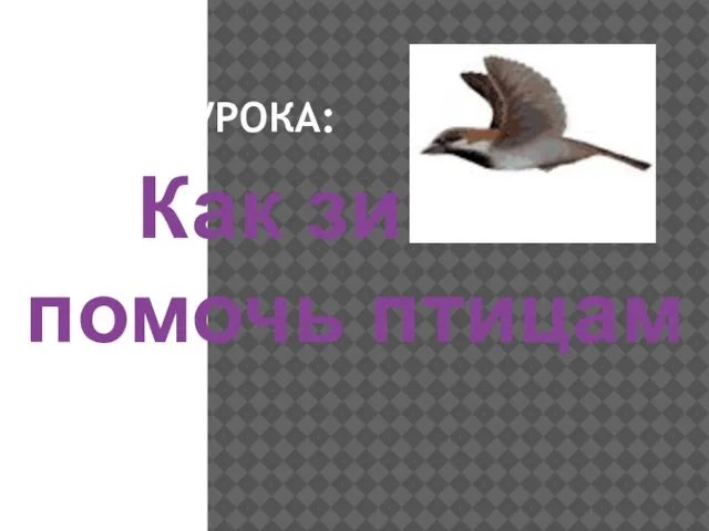 ТЕМА УРОКА: Как зимой помочь птицам