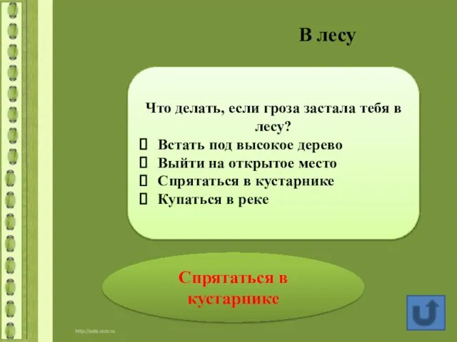 В лесу Спрятаться в кустарнике Что делать, если гроза застала тебя в