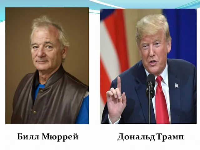 Билл Мюррей Дональд Трамп