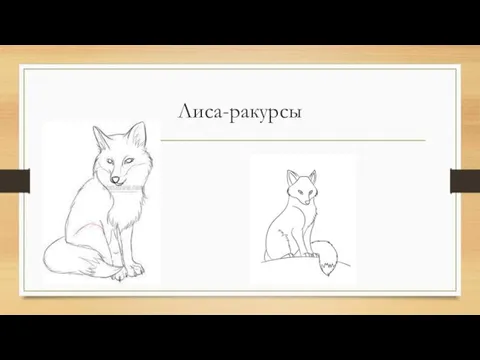 Лиса-ракурсы