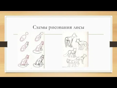 Схемы рисования лисы