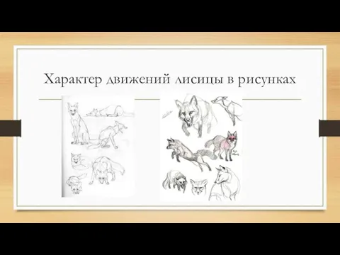 Характер движений лисицы в рисунках