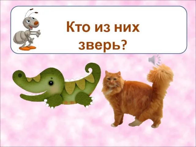 Кто из них зверь?