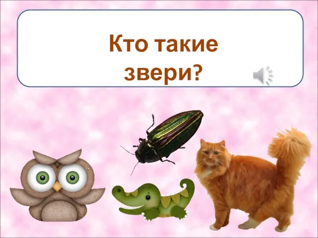 Кто такие звери?