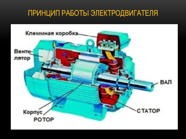 ПРИНЦИП РАБОТЫ ЭЛЕКТРОДВИГАТЕЛЯ