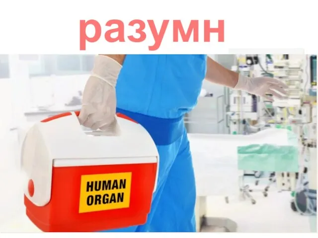 разумно