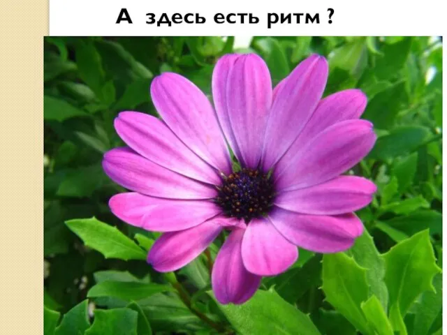 А здесь есть ритм ?