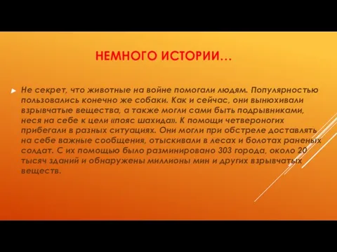 НЕМНОГО ИСТОРИИ… Не секрет, что животные на войне помогали людям. Популярностью пользовались