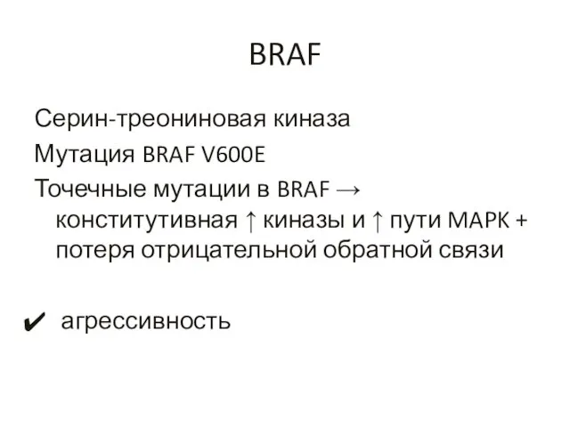 BRAF Серин-треониновая киназа Мутация BRAF V600E Точечные мутации в BRAF → конститутивная