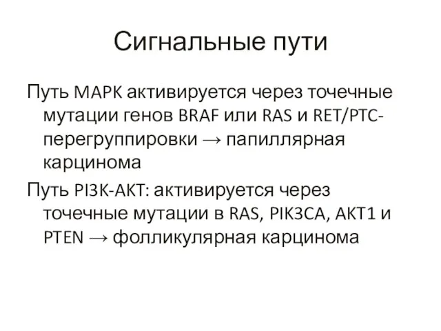 Сигнальные пути Путь MAPK активируется через точечные мутации генов BRAF или RAS