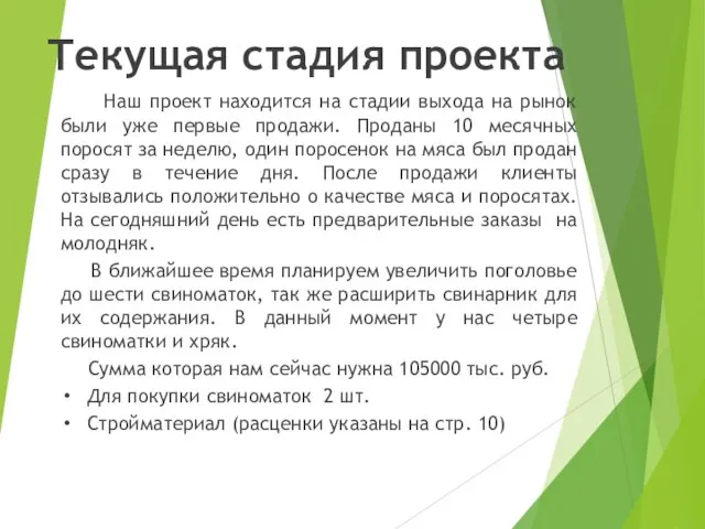 Текущая стадия проекта Наш проект находится на стадии выхода на рынок были