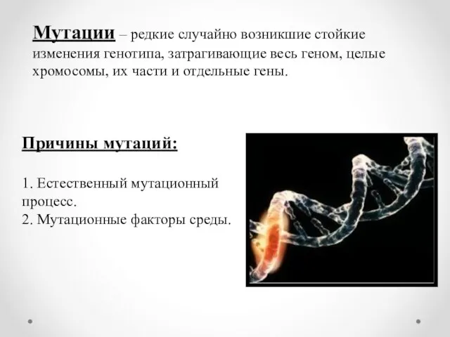 Мутации – редкие случайно возникшие стойкие изменения генотипа, затрагивающие весь геном, целые