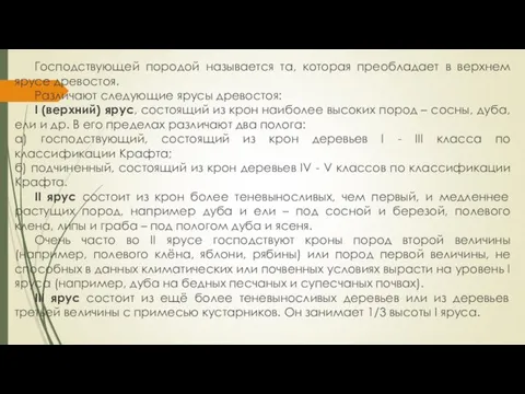 Господствующей породой называется та, которая преобладает в верхнем ярусе древостоя. Различают следующие