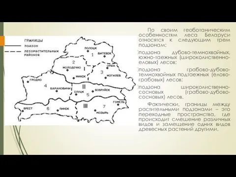 По своим геоботаническим особенностям леса Беларуси относятся к следующим трем подзонам: подзона