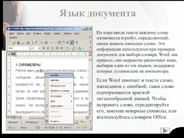 Язык документа По мере ввода текста каждому слову назначается атрибут, определяющий, каким