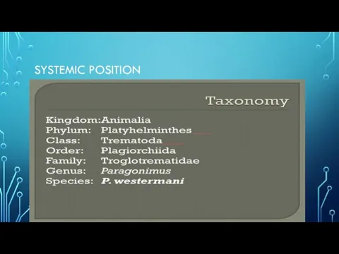 SYSTEMIC POSITION