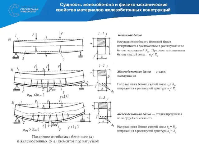 Бетонная балка Несущая способность бетонной балки исчерпывается достижением в растянутой зоне бетона