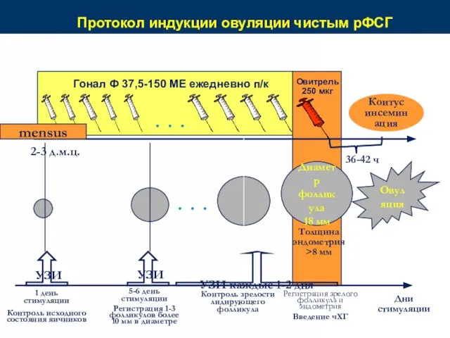 Протокол индукции овуляции чистым рФСГ Коитус инсеминация Овитрель 250 мкг 36-42 ч