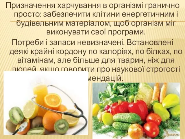 Призначення харчування в організмі гранично просто: забезпечити клітини енергетичним і будівельним матеріалом,