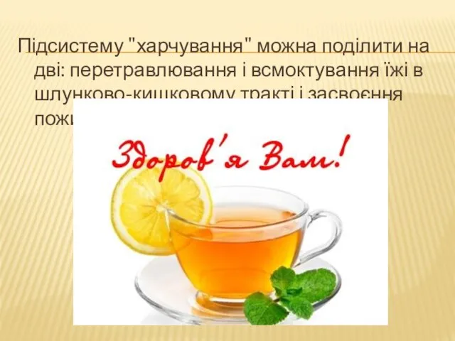 Підсистему "харчування" можна поділити на дві: перетравлювання і всмоктування їжі в шлунково-кишковому