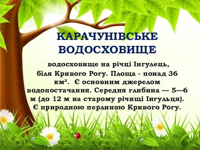 КАРАЧУНІВСЬКЕ ВОДОСХОВИЩЕ водосховище на річці Інгулець, біля Кривого Рогу. Площа - понад