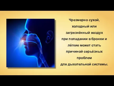 Чрезмерно сухой, холодный или загрязнённый воздух при попадании в бронхи и лёгкие