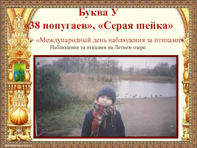 Буква У «38 попугаев», «Серая шейка» «Международный день наблюдения за птицами» Наблюдение