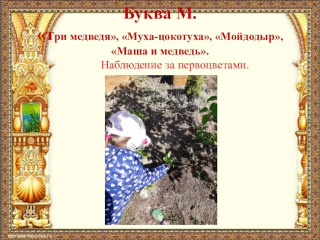 Буква М. «три медведя», «Муха-цокотуха», «Мойдодыр», «Маша и медведь». Наблюдение за первоцветами.