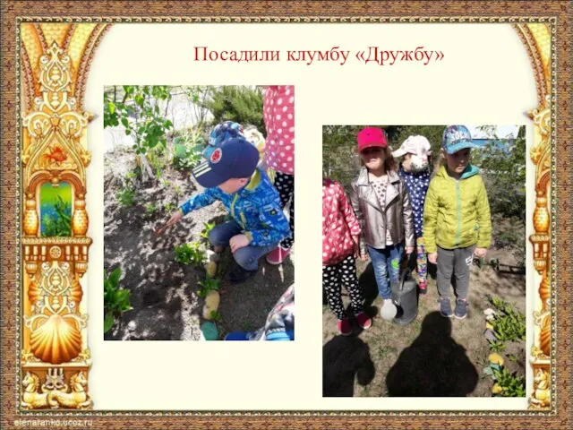 Посадили клумбу «Дружбу»