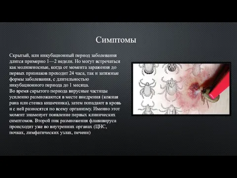 Симптомы Скрытый, или инкубационный период заболевания длится примерно 1—2 недели. Но могут