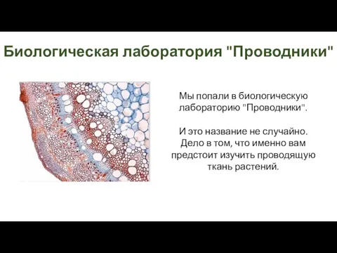 Биологическая лаборатория "Проводники" Мы попали в биологическую лабораторию "Проводники". И это название